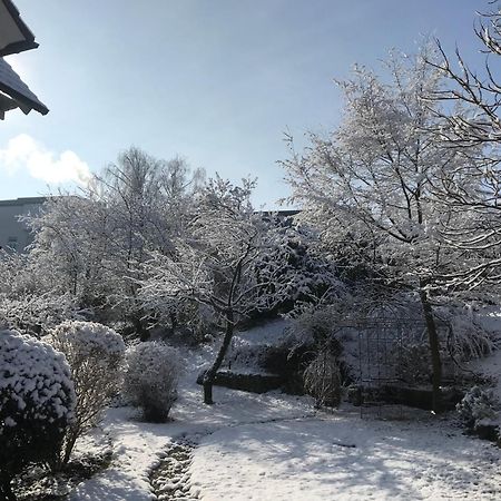 Apartment Frida Radolfzell am Bodensee Luaran gambar